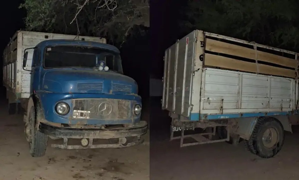 Chaco: mató a su papá al atropellarlo marcha atrás con un camión porque se les escapaba un novillo
